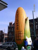 Anti-Gentechnik-Maiskolben