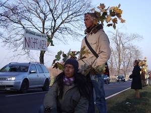 Aktion für Nachpflanzungen in Alleen; Quelle: BUND