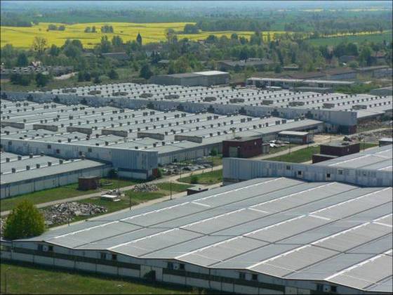 Hallen der ehemaligen Schweinemastanlage Haßleben, welche wieder genutzt werden sollen