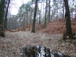 nach Fertigstellung, Foto: BUND