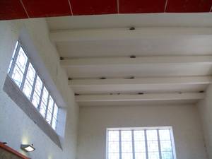 Brütende Schwalben im Bahnhofsgebäude Griebnitzsee; Foto: A. Heinzel-Berndt