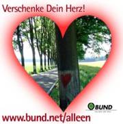 Verschenke dein Herz