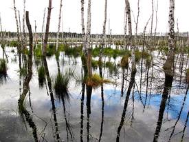 Großes Postluch bei Ganz, Photo by Dr. Lukas Landgraf