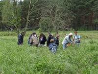 Untersuchung der Tranwiesen, Foto: BUND