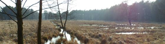 Foto: Sütering, Ingenieurbüro Pöyry