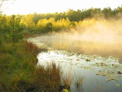 Buhrseemoor, Foto: Dr. Lukas Landgraf