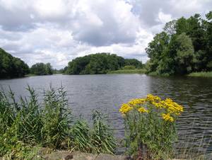 Hintenteiche, Biesenbrow; Quelle: BUND