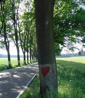 Baum mit Herz, Foto: BUND