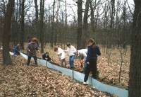 Krötenzaun Schöneiche