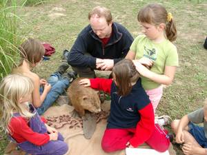 Biberexkursion; Foto: BUND