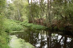 Moorgraben, Quelle: wikipedia.de, Photo by Axel HH