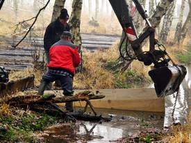 Moorschutzmaßnahmen am Rande des Lausitzer Grenzwalls, Photo by Dr. Lukas Landgraf