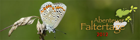 Header Faltertage 2012