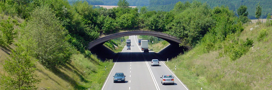 Grünbrücke über die Autobahn; Foto: M. Strein