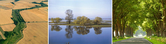Grünes Band, Elbe, Allee; Fotos: K. Leidorf (www.leidorf.de), E. P. Dörfler, www.pixelio.de